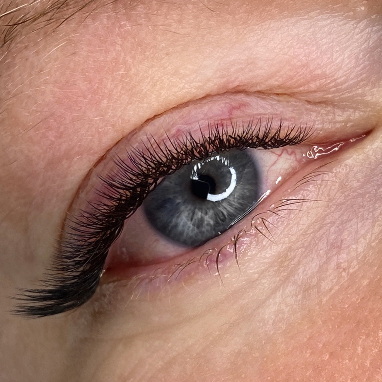 Russian Volume Lash Course In Person/Online image 5