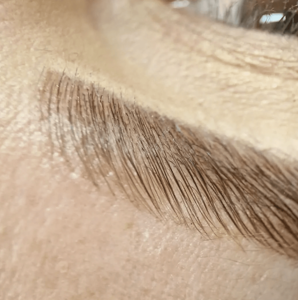 Close-up view of thioglycolic acid-free Elleeplex Profusion brow lamination sachet pack included with the conversion course.