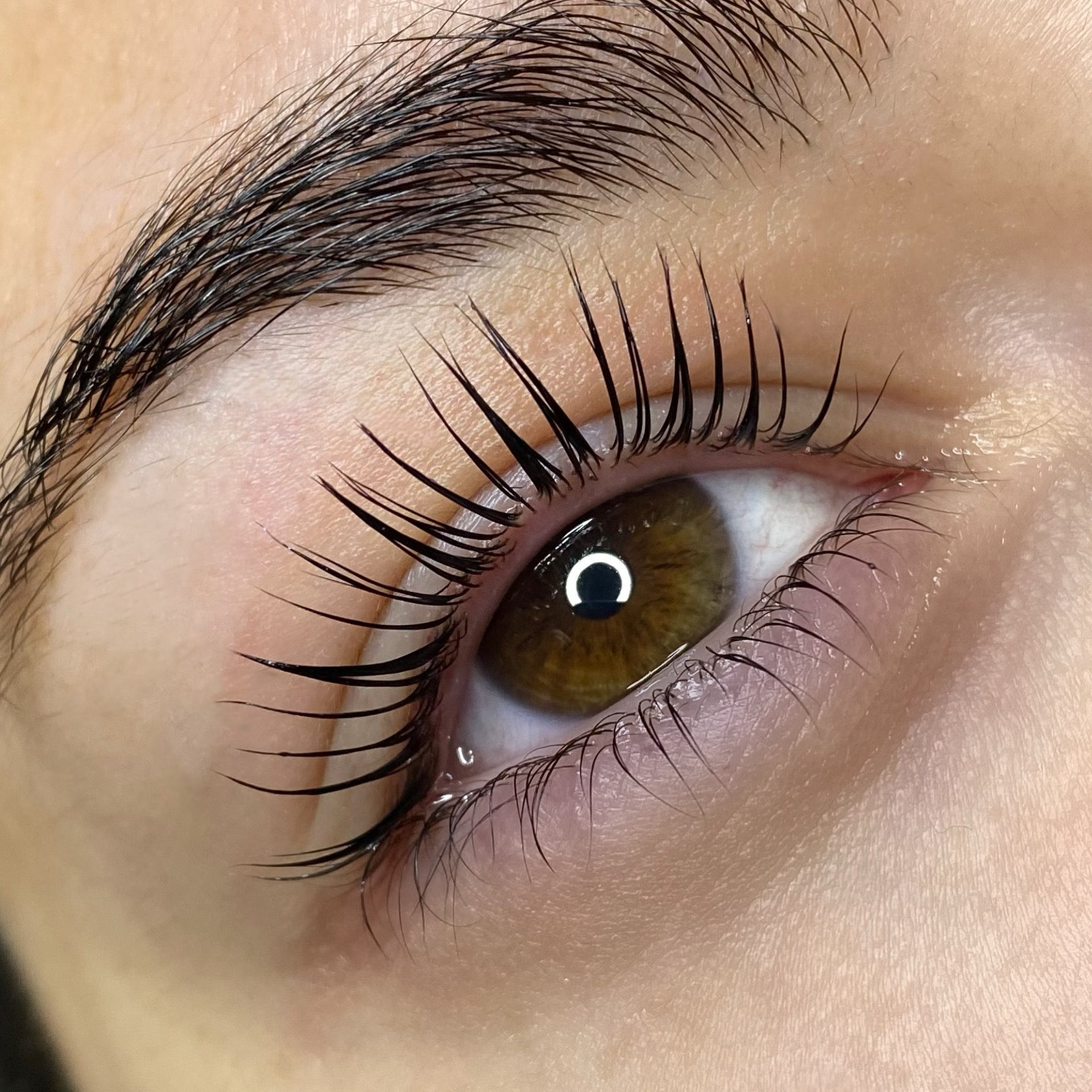 Elleeplex Profusion Lash Lamination 1 Day Course - Shannon Boyle