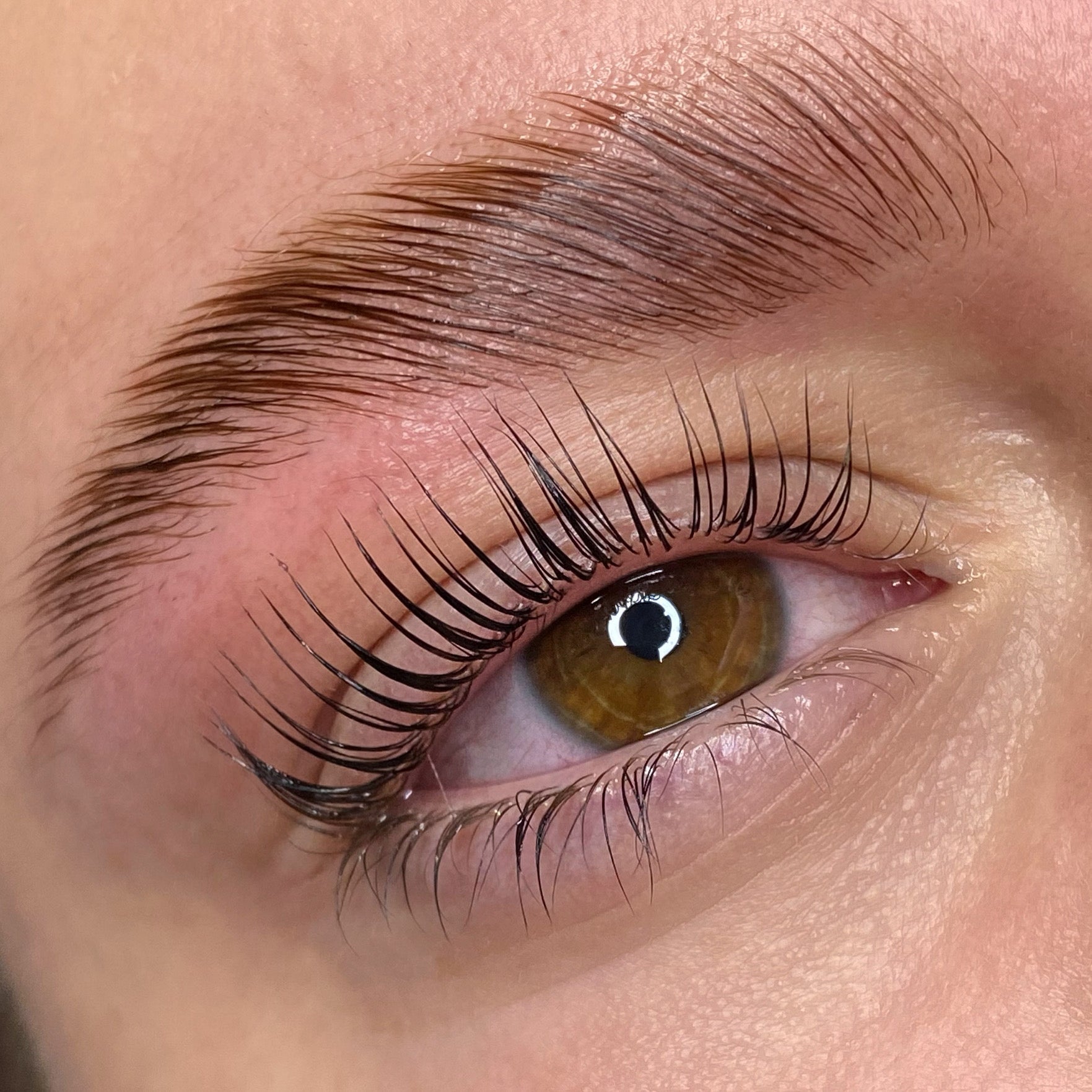Elleeplex Profusion Lash Lift and Brow Lamination 1 Day Course - Shannon Boyle