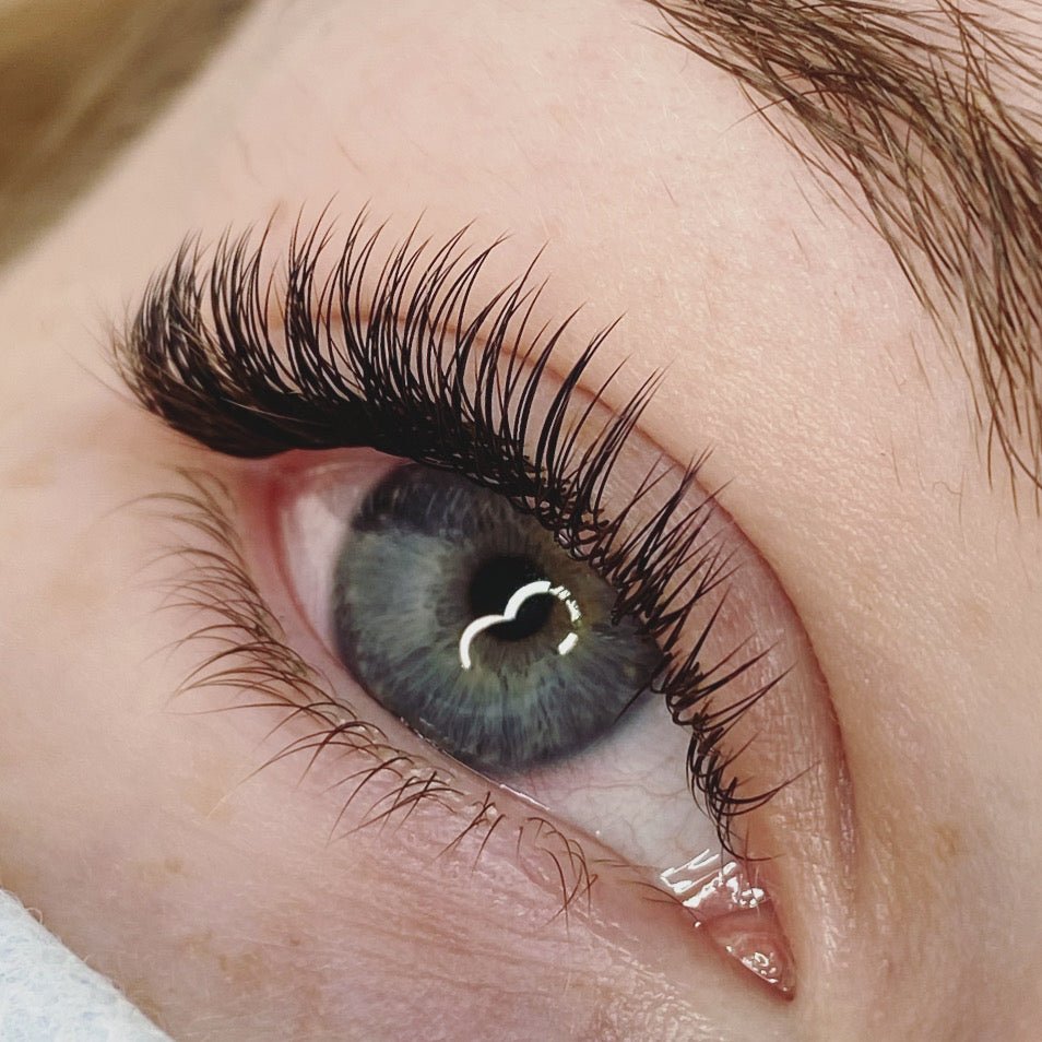 In Person Classic Foundation Lash Training - Shannon Boyle