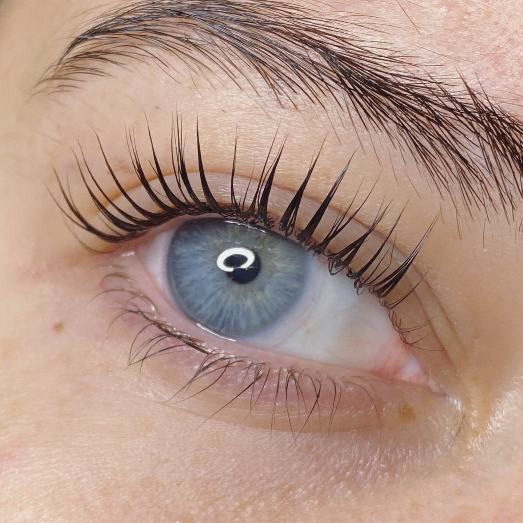 Online Conversion - Elleebana One Shot Lash Lift - Shannon Boyle