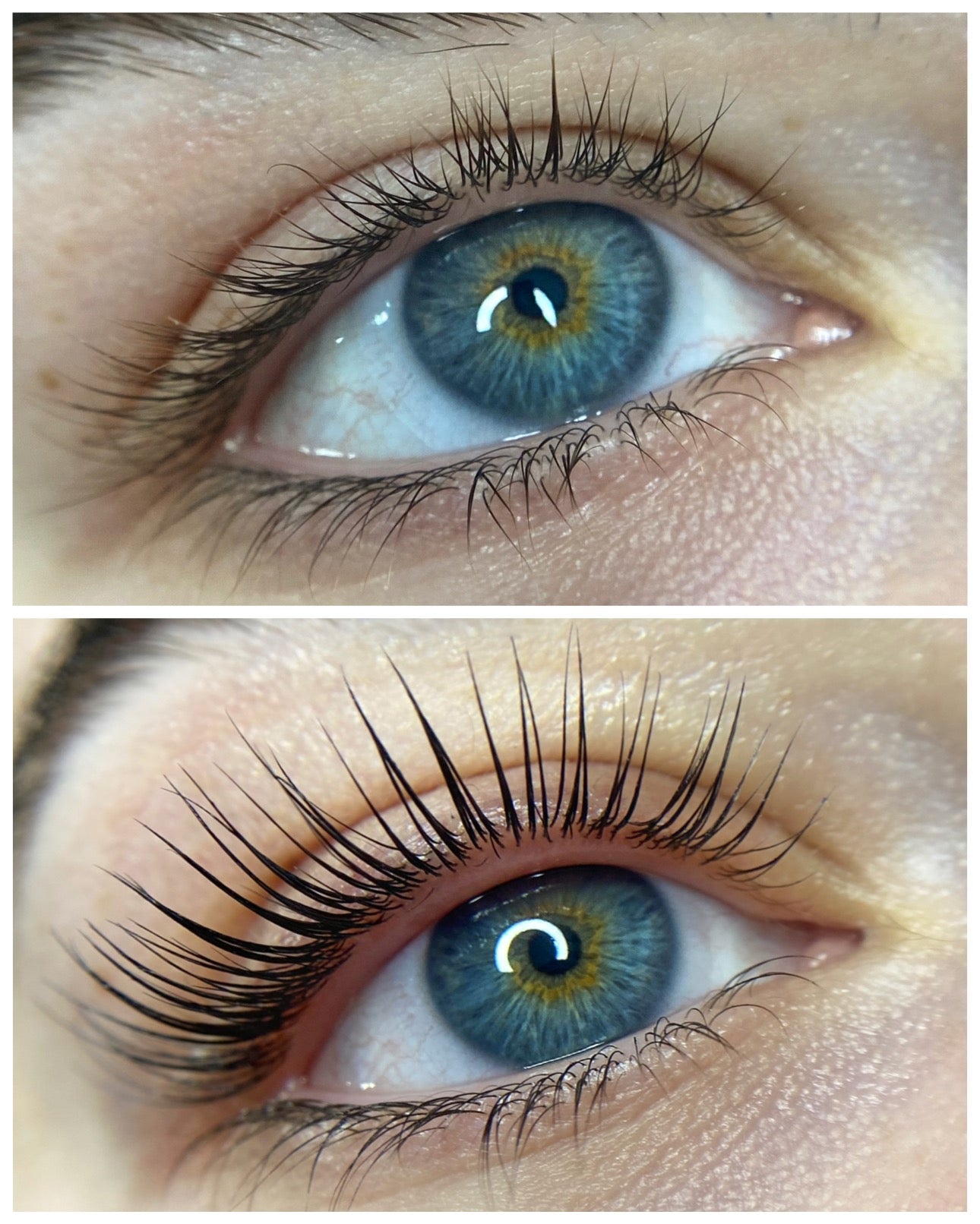 Online - Elleeplex Profusion Lash & Brow Lamination Course - Shannon Boyle