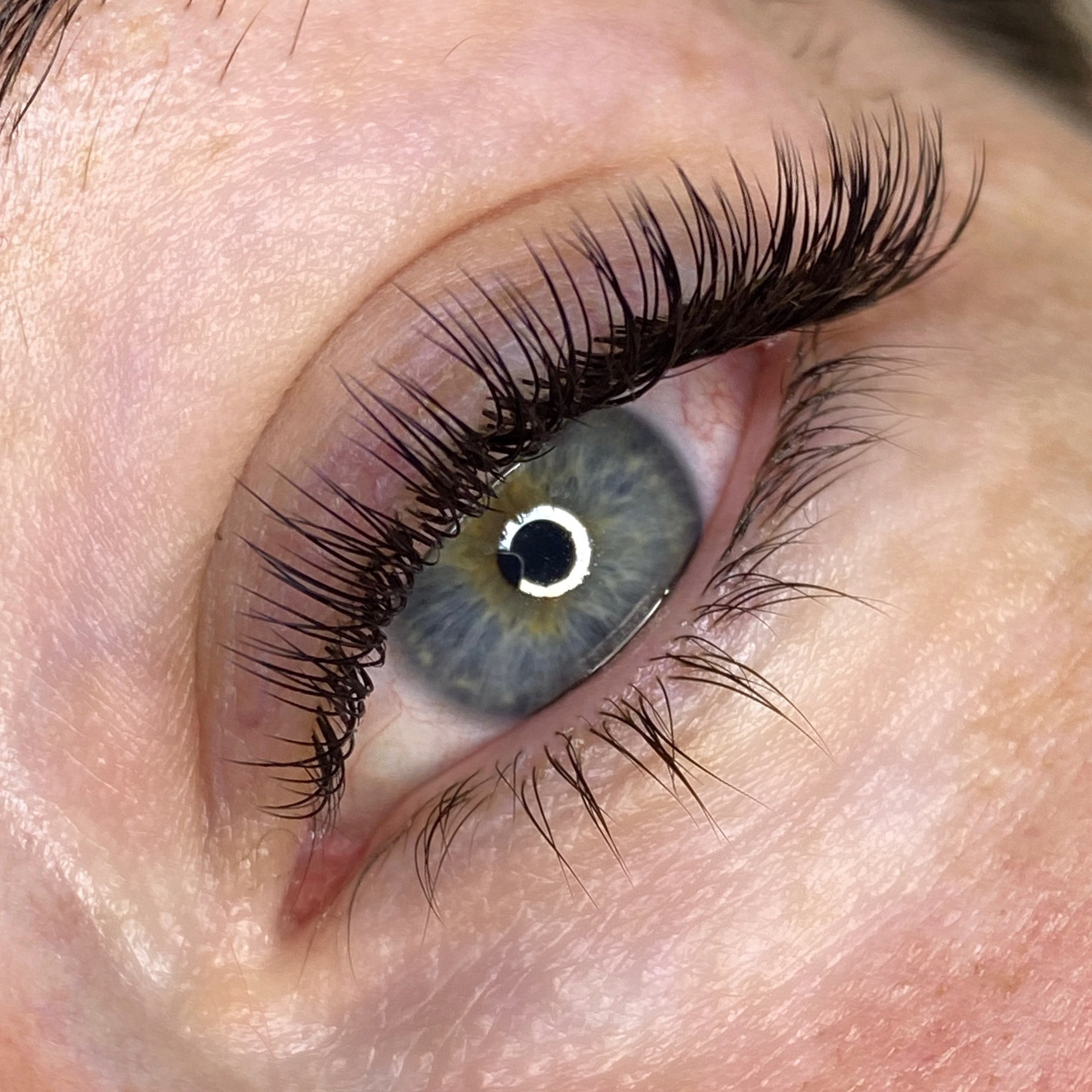 Online Refresher Course for Classic Eyelash Extensions image 4