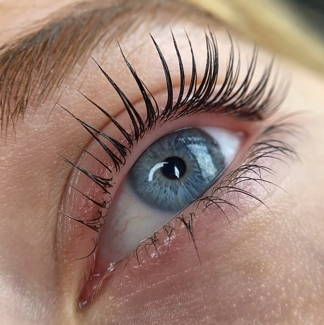 Online Conversion - Elleeplex  Profusion Lash Lamination image 3