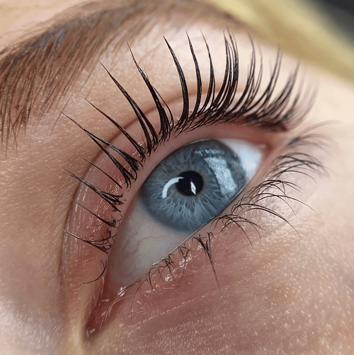 Lash artist applying gentle Elleeplex Profusion cysteamine lotion to natural eyelashes wrapped on a shield during a conversion course case study.