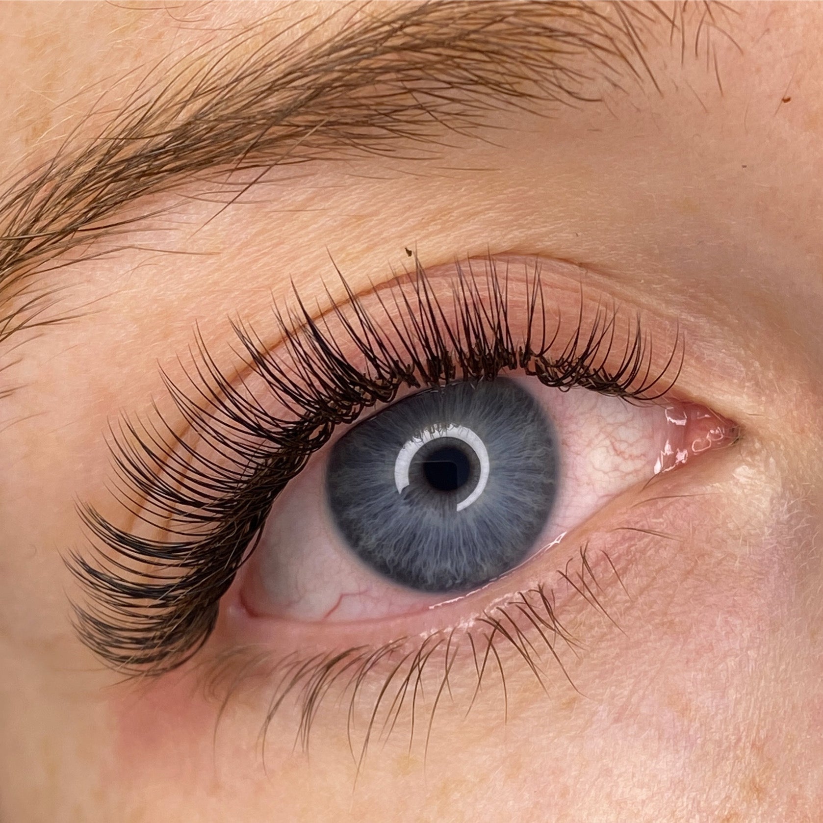 Online Refresher Course for Classic Eyelash Extensions image 3