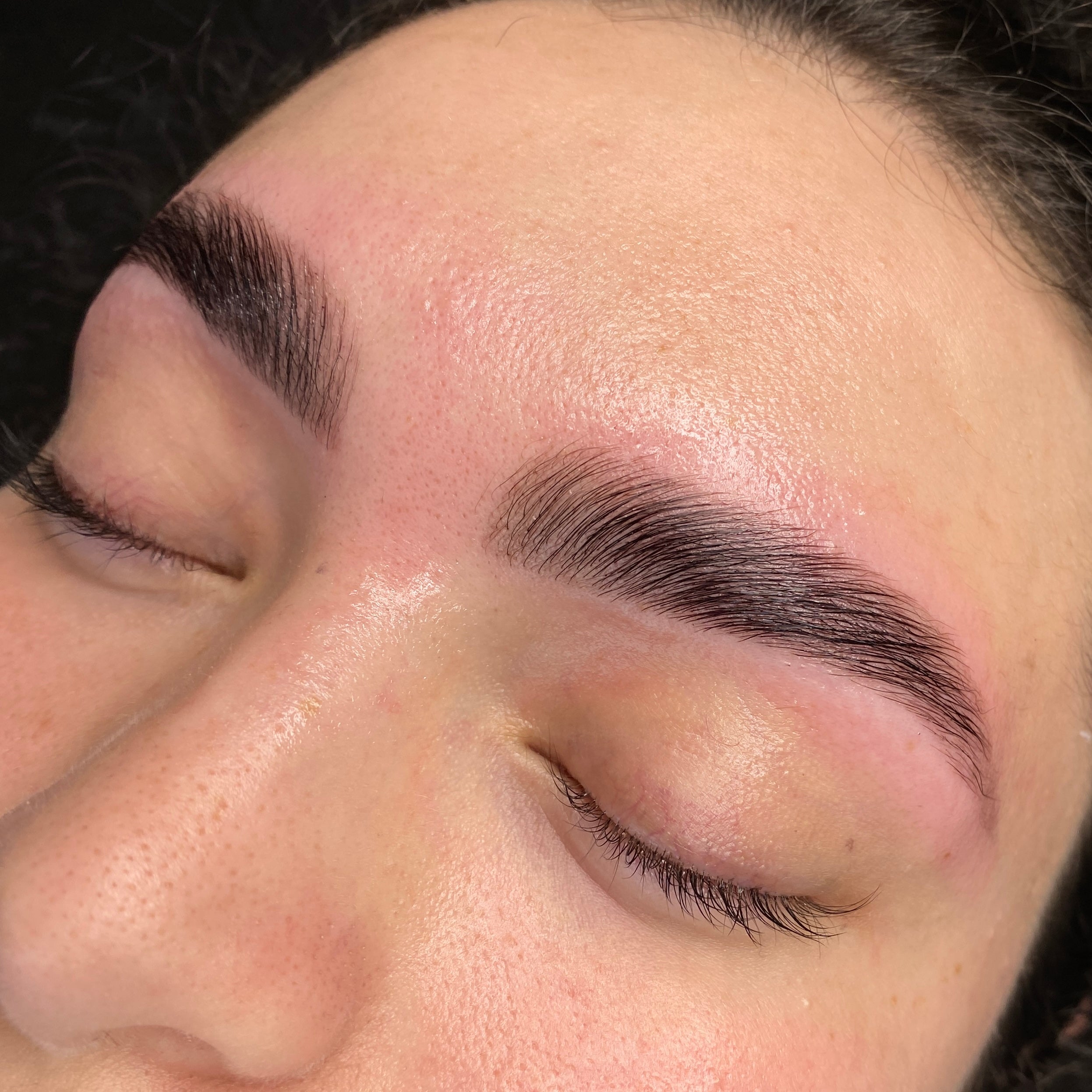 Online Conversion - Elleeplex  Profusion Brow Lamination image 3