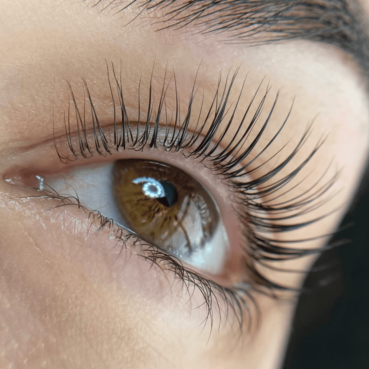 Elleeplex Profusion lash lamination training course starter kit with lotion sachets, silicone shields, and ReGEN Next Gen conditioning solution.