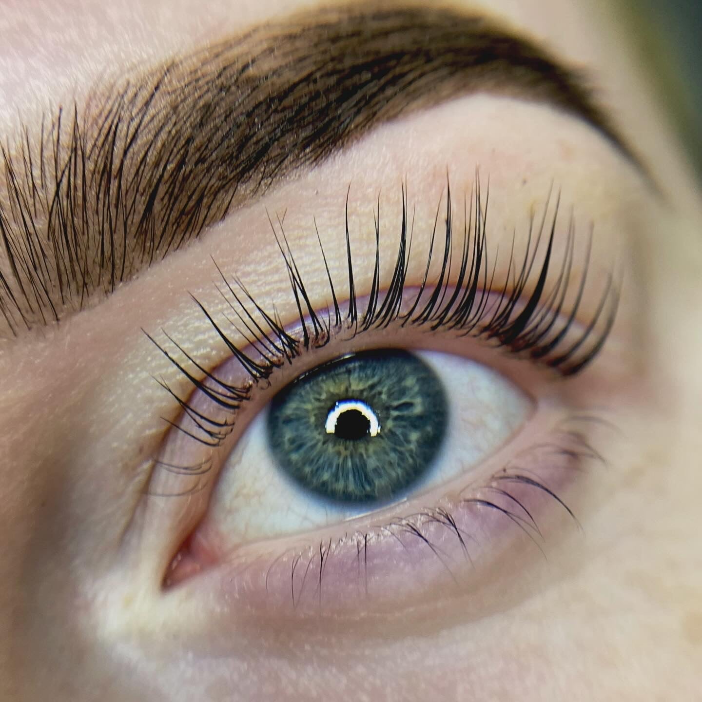 Elleeplex Profusion Lash Lamination 1 Day Course - Shannon Boyle