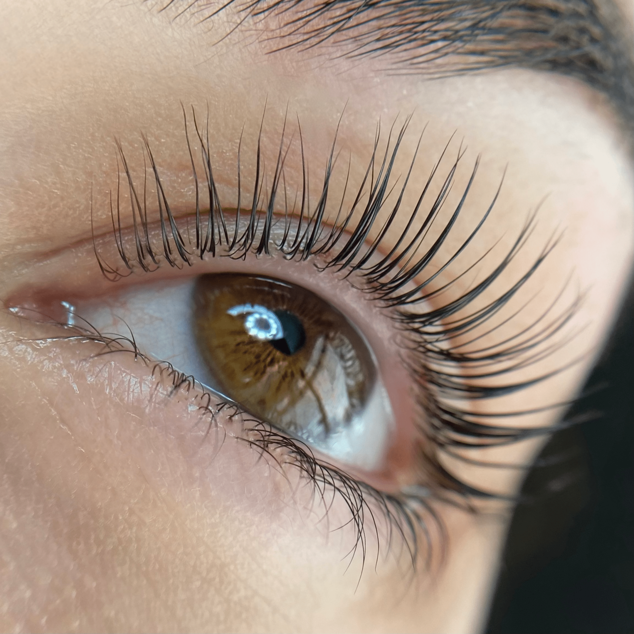 Elleeplex Profusion Lash Lamination 1 Day Course - Shannon Boyle
