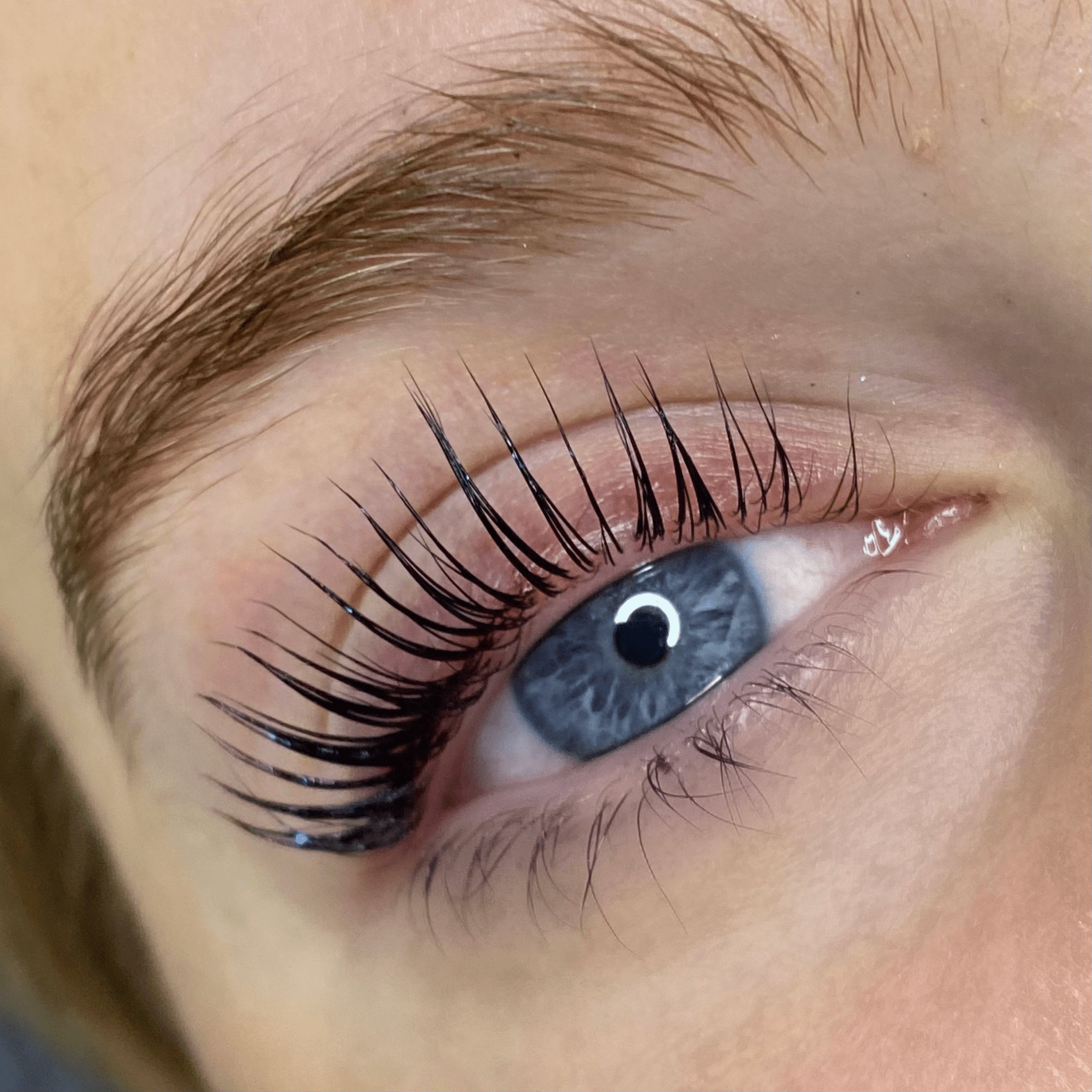 Elleeplex Profusion Lash Lift and Brow Lamination 1 Day Course - Shannon Boyle