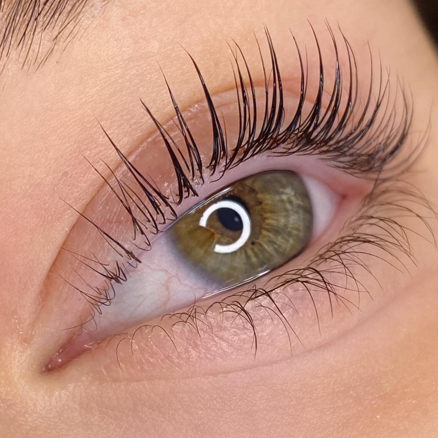 Elleeplex Profusion Lash Lift and Brow Lamination 1 Day Course - Shannon Boyle