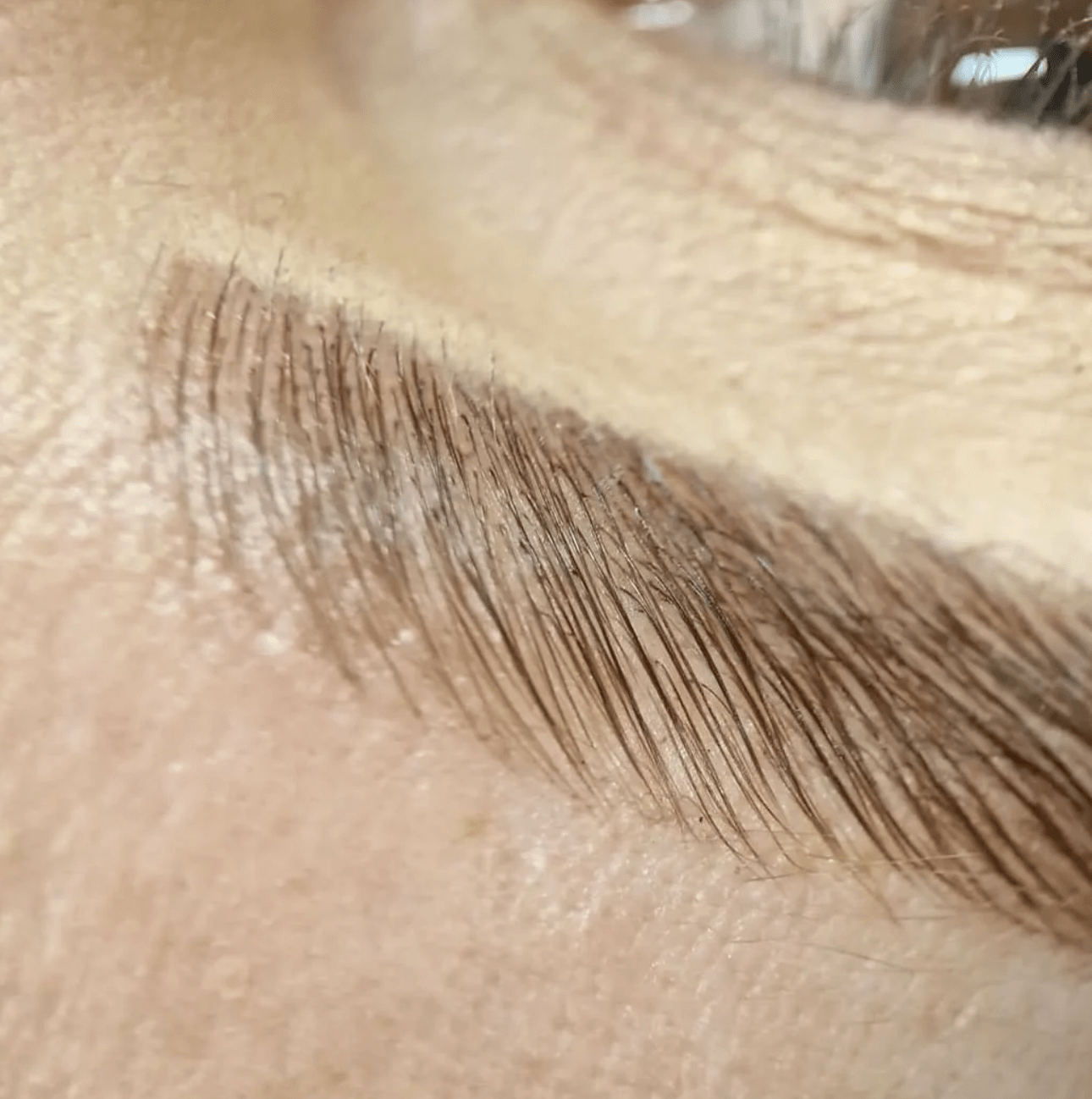 Online Conversion - Elleeplex Profusion Lash & Brow Lamination - Shannon Boyle