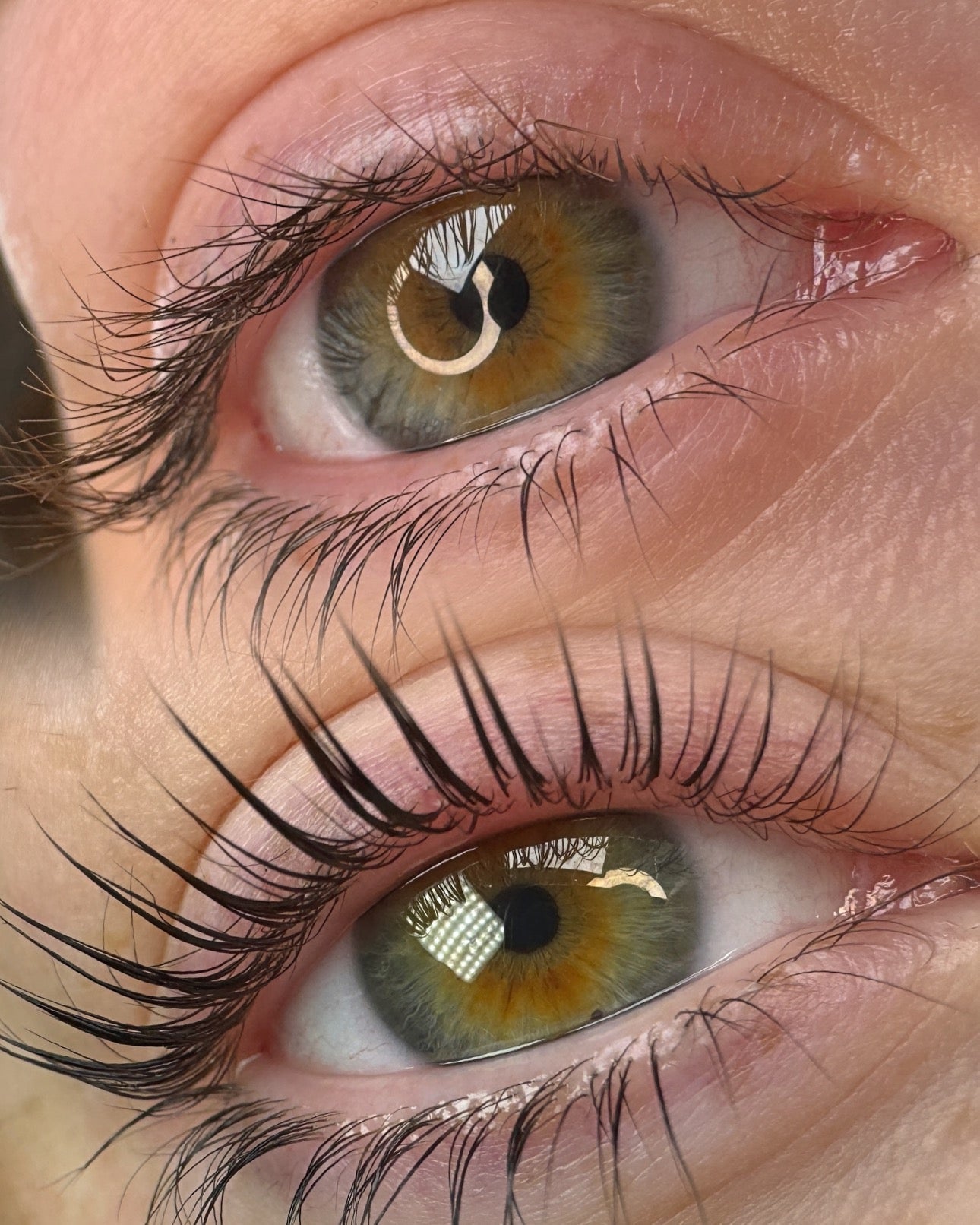Online - Elleeplex Profusion Lash & Brow Lamination Course - Shannon Boyle